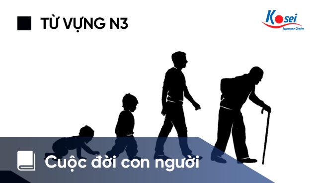 Từ vựng tiếng Nhật N3: Cuộc đời con người